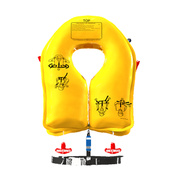 Lifevest (twin cell)