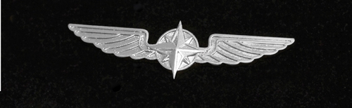 Pilot Wings silver, 3,5 cm