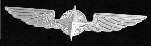 Pilotenschwinge silber, 5 cm