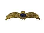 Pilot Wings Brooch