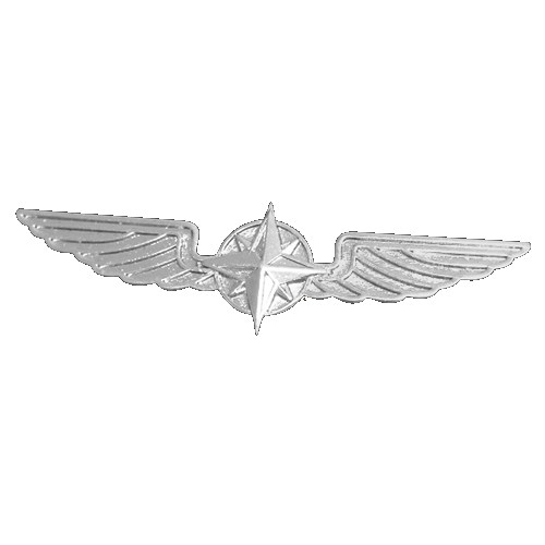 Pilotenschwinge silber, 5 cm