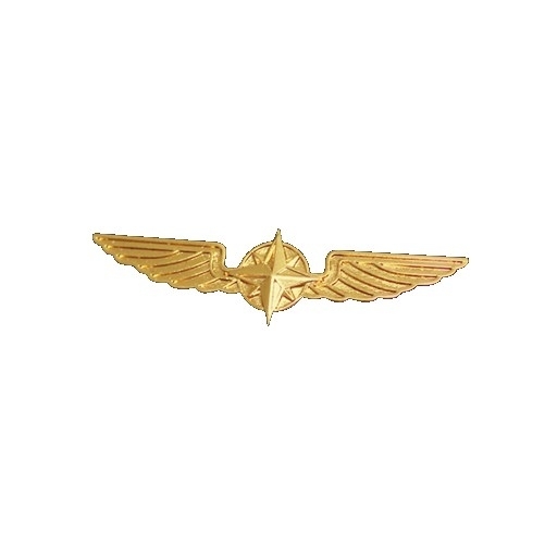 Pilotenschwinge gold, 3,5 cm
