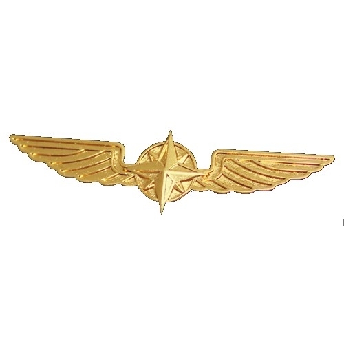 Pilotenschwinge gold, 5 cm